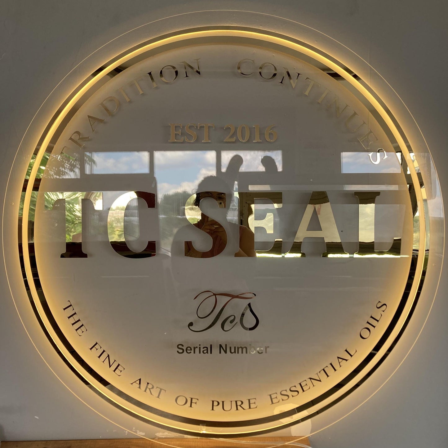 Custom 3D Business Logo Sign, Backlit Acrylic Sign, Personalized Business Name Sign, Salon Wall Decor, Office Sign, Storefront Sign