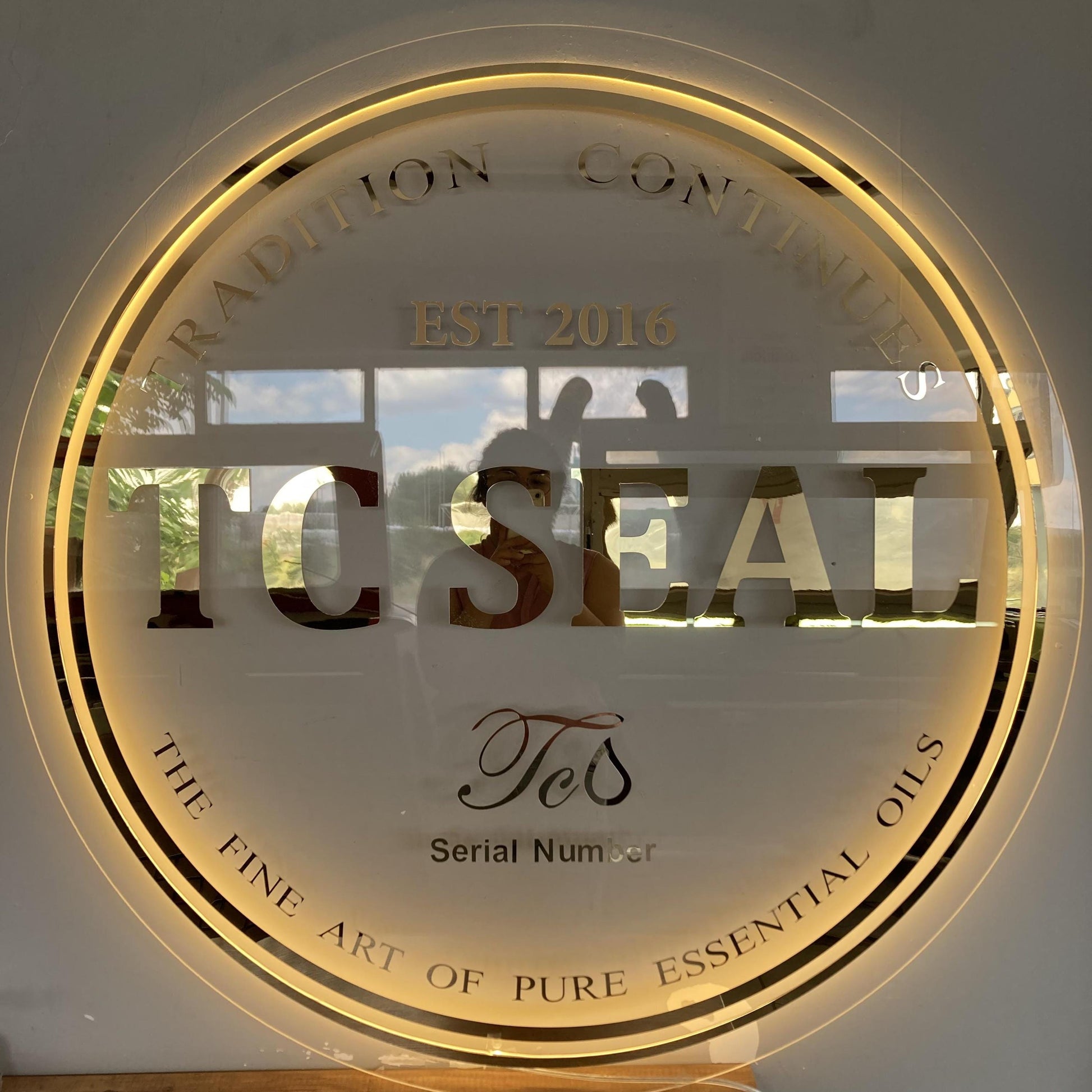 Custom 3D Business Logo Sign, Backlit Acrylic Sign, Personalized Business Name Sign, Salon Wall Decor, Office Sign, Storefront Sign